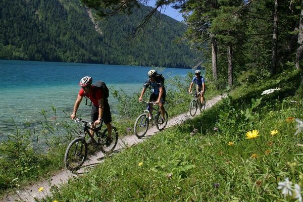 Pessoa adulta a pedalar de forma tranquila numa rua com luz suave